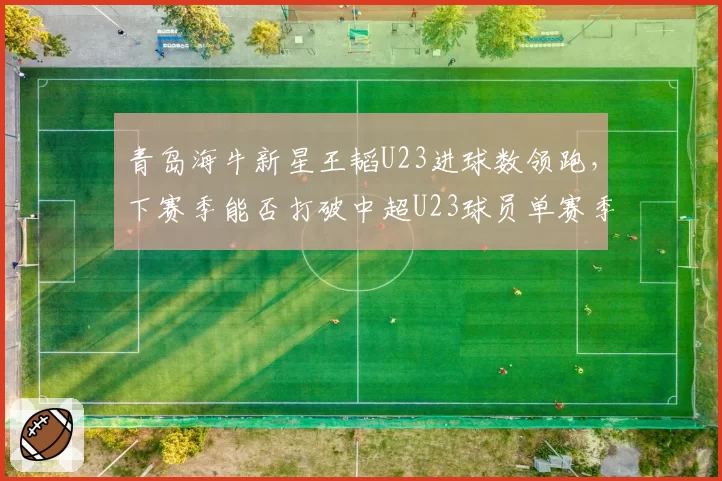 青岛海牛新星王韬U23进球数领跑，下赛季能否打破中超U23球员单赛季进球纪录？